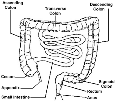 enemas