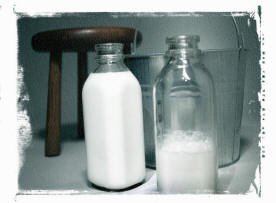 probiotics